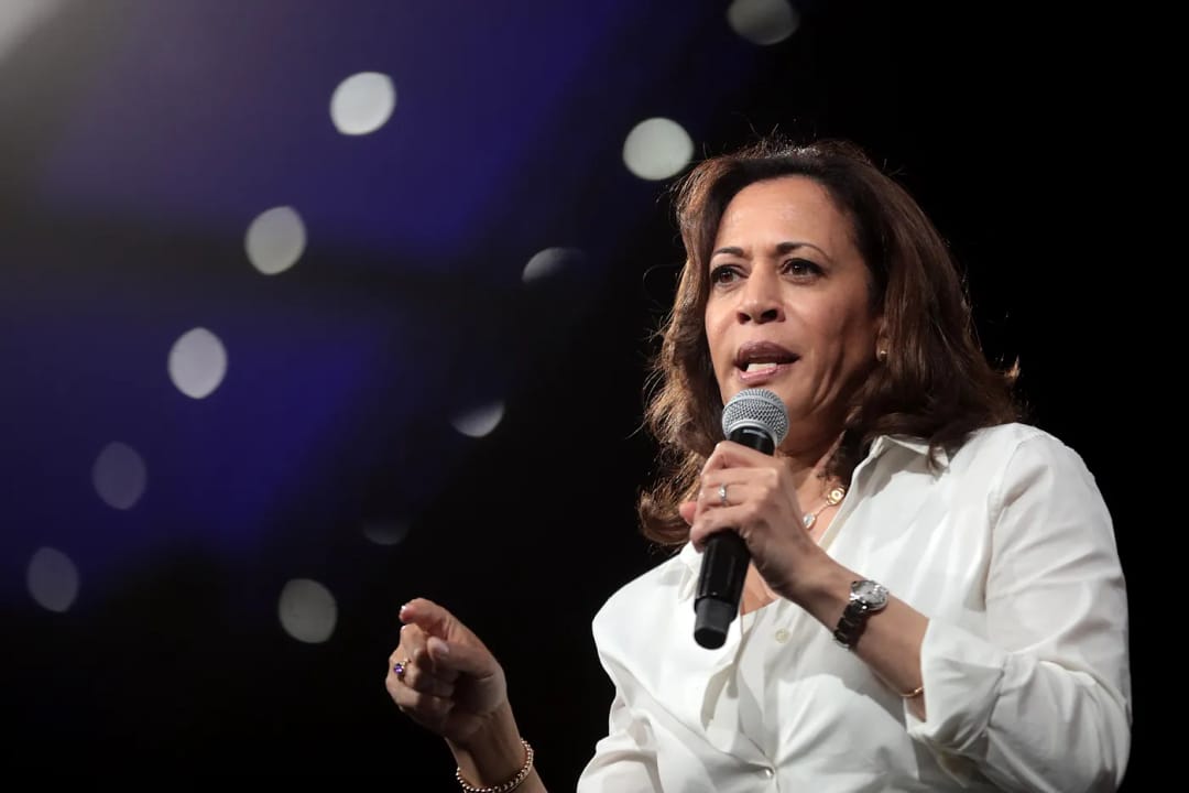 Kamala Harris’s Earned Income Tax Credit Expansion Proposal